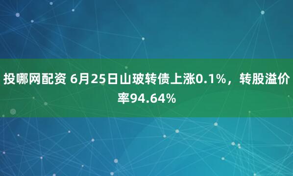 投哪网配资 6月25日山玻转债上涨0.1%，转股溢价率94.64%